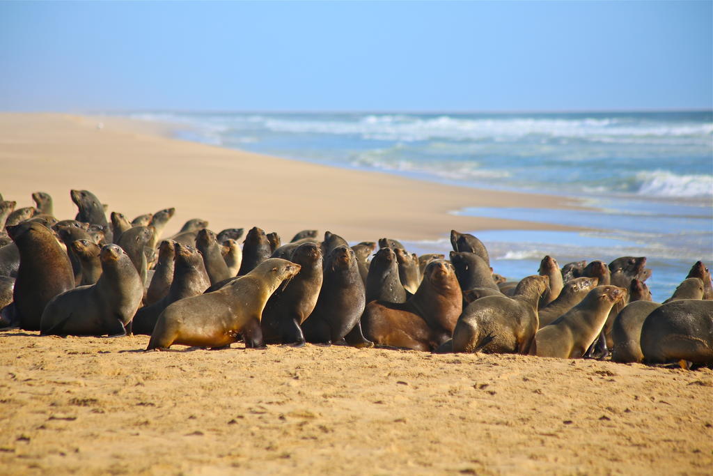 Pelican Point Lodge Walvis Bay Exterior photo